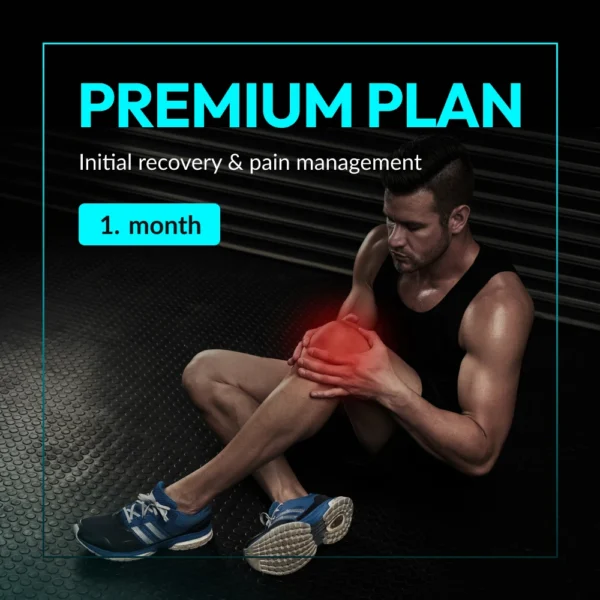 Premium - 1 month