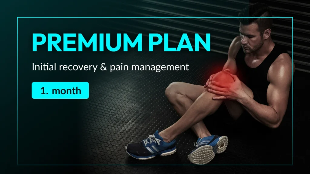 Premium - 1 month